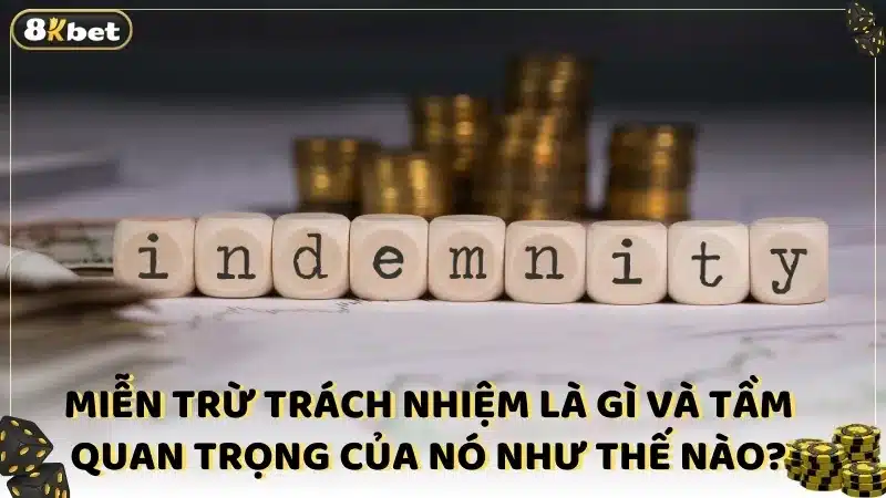 Miễn trừ trách nhiệm là gì và tầm quan trọng của nó như thế nào?