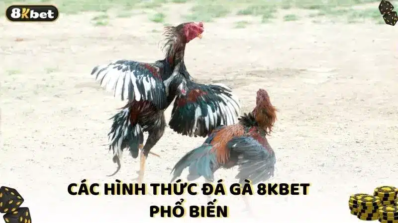 Các hình thức đá gà 8kbet phổ biến