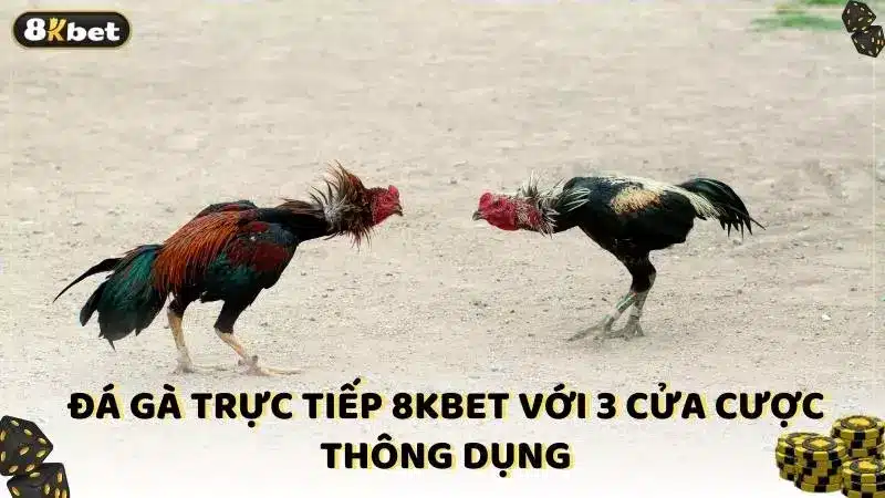 Đá gà trực tiếp 8kbet với 3 cửa cược thông dụng