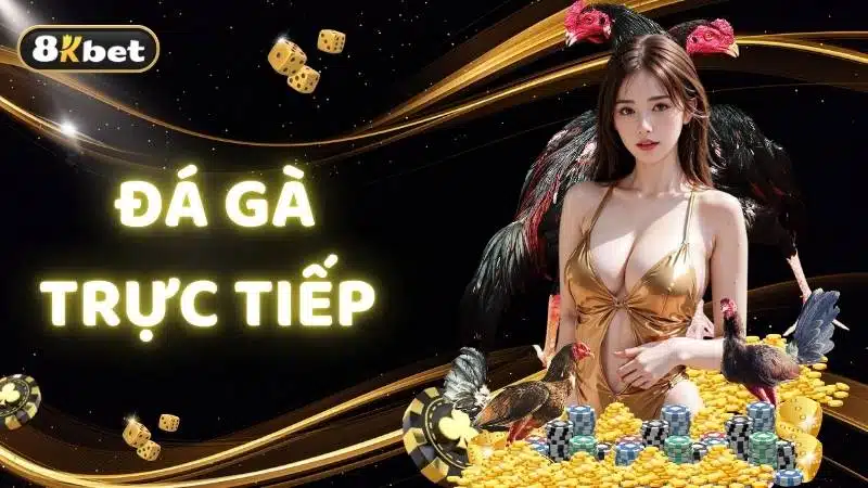 Đá gà trực tiếp - Cơ hội chiêm ngưỡng các trận đấu mãn nhãn